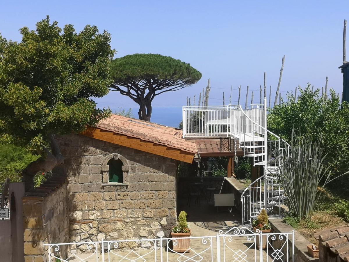 Agriturismo Il Giardino Di Vigliano Massa Lubrense Exterior photo
